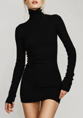 Long Sleeve Turtleneck Dress Mini