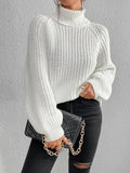 Long Sleeves Loose Solid Color Split Side High Neck Pullovers Sweater Tops