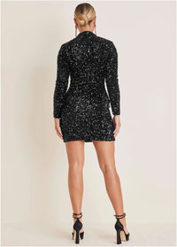 Sequin Velvet Mini Dress