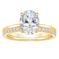 The Chica Ring Collection