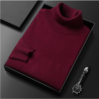 Peter | Men's Casual Spring Turtleneck Sweater