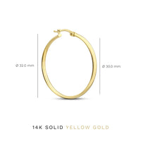 Serane | Gold Earrings