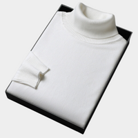 Jens | Men's Spring Bold Colour Turtleneck Sweater