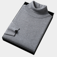 Jens | Men's Spring Bold Colour Turtleneck Sweater