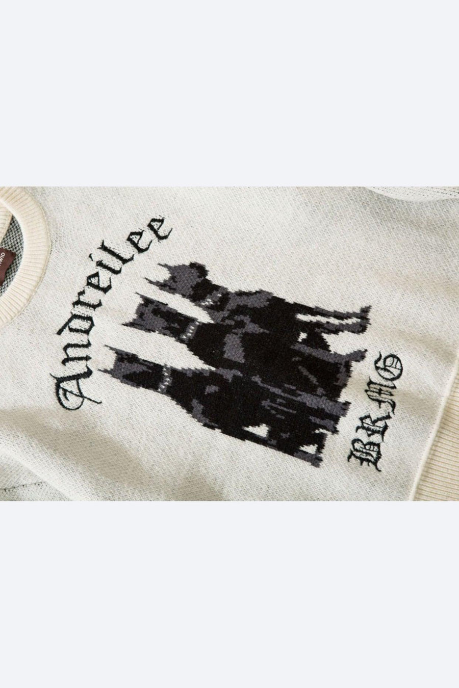 Aandreilee | Men's Dog Print Sweater