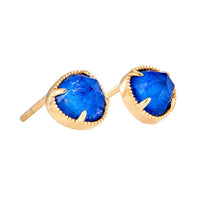Azurae Earrings