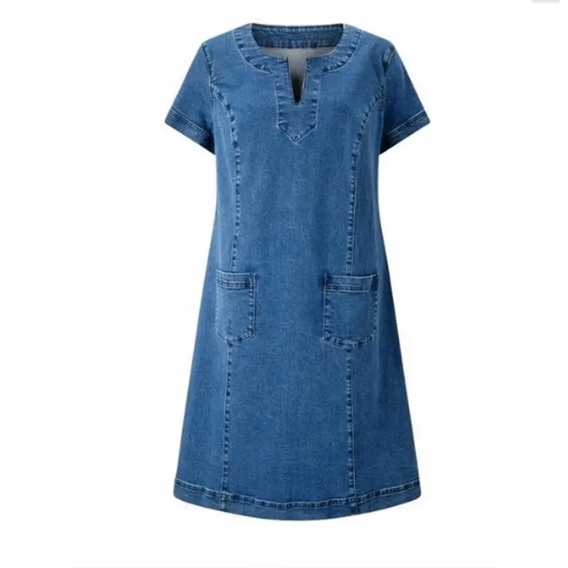 Zinnia | Soft Denim Dress