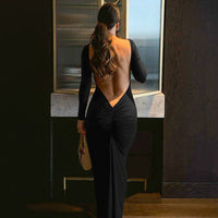 Agnes Elegant Dress