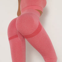 Alice Leggings in Magenta