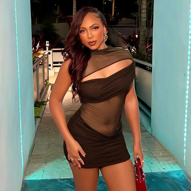 Alina | Holiday Mini Dress