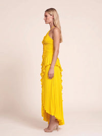 Aurelia Yellow 3