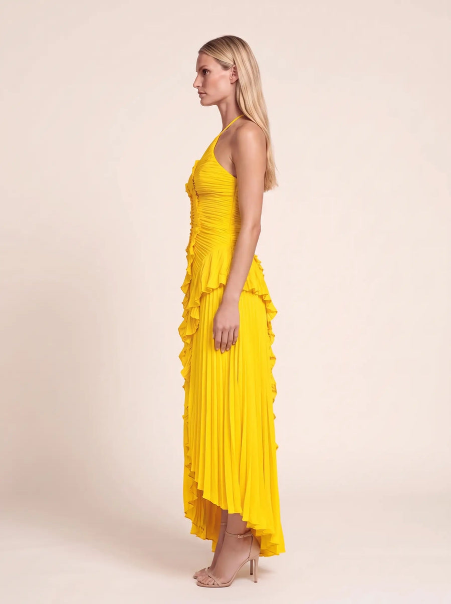 Aurelia Yellow 3