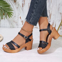 Darcy | Women's Braided Strap Block Heel Style Sandals in Black