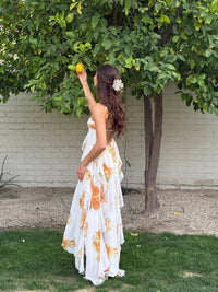 Lavinia | Women's Halter Open Back Maxi Dress
