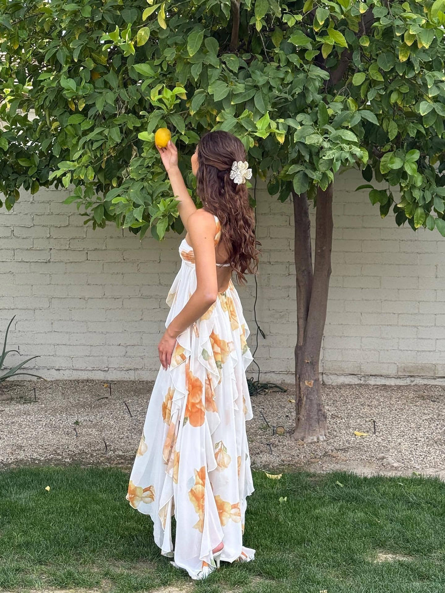 Lavinia | Women's Halter Open Back Maxi Dress