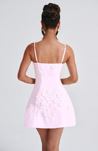 Kenna Mini Dress – Blush