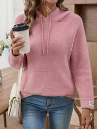 Dita Knit Hoodie in Pink