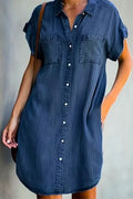 Elenore Denim Dress