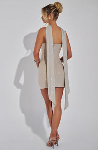 Lyra Mini Dress – Silver/Nude