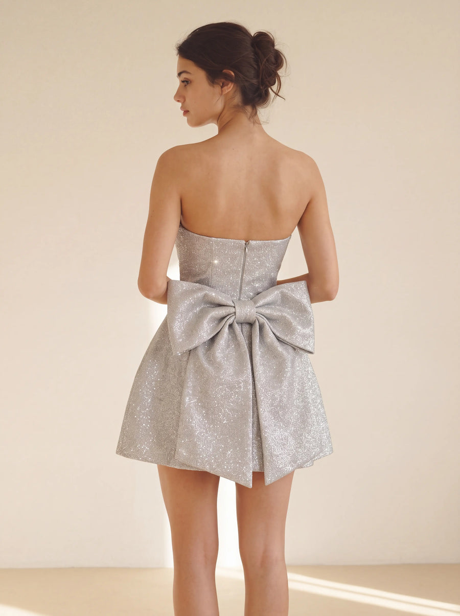 Heidi Mini Dress – Silver Sparkle