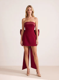 Margot Mini Dress – Wine