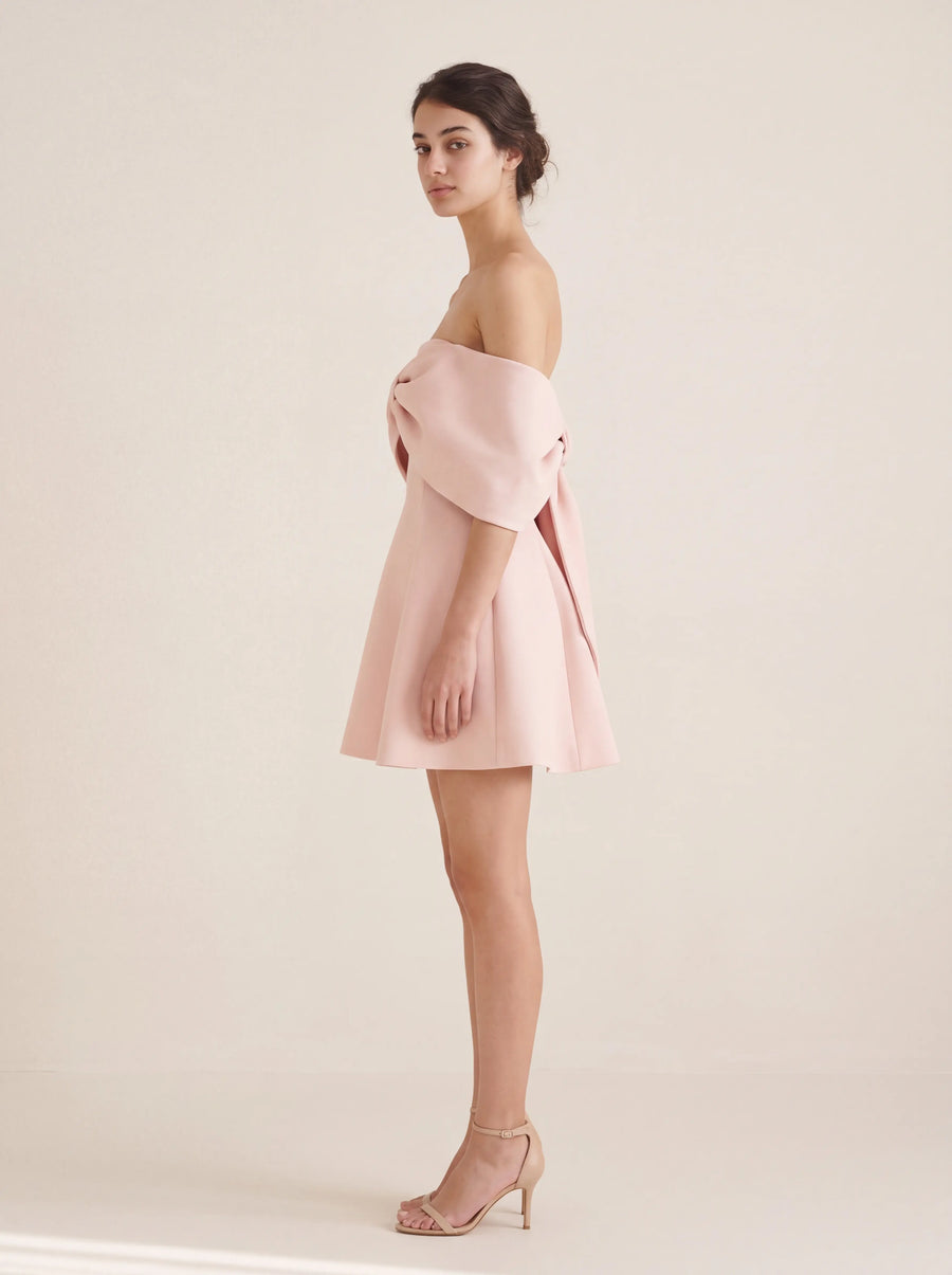 Savannah Mini Dress – Blush