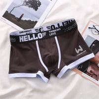 Jasper Shorts in Brown