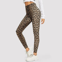 Keira Elegant Leggings in Leopard