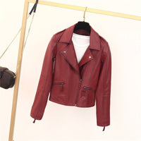 Lena Jacket with Zip Front