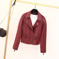 Lena Jacket with Zip Front in Wine Red