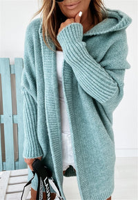 Liana Knit Cardigan with Hood in Mint