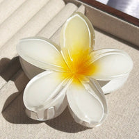 Nara™ 1/2/3 Pcs Hawaiian Gradient Flower Hair Claw Clip Women Fashion Large Hair Clip Girls Hairpin Barrettes Bohemia Hair Accessories in 11