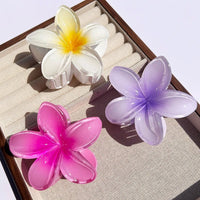 Nara™ 1/2/3 Pcs Hawaiian Gradient Flower Hair Claw Clip Women Fashion Large Hair Clip Girls Hairpin Barrettes Bohemia Hair Accessories in 16