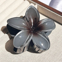 Nara™ 1/2/3 Pcs Hawaiian Gradient Flower Hair Claw Clip Women Fashion Large Hair Clip Girls Hairpin Barrettes Bohemia Hair Accessories in 20