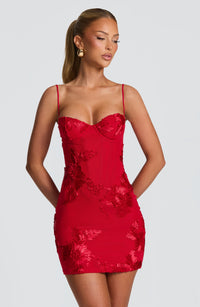 Flora Mini Dress – Red