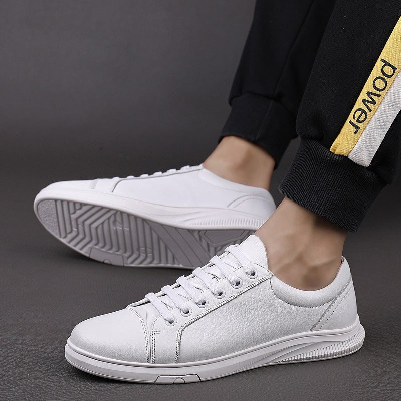 Nolan Shoes
