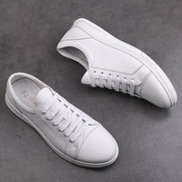 Nolan Shoes