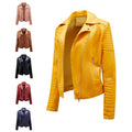 Novalie Jacket with Zip Front