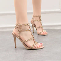Seraphina High Heeled Pumps in Light Rose
