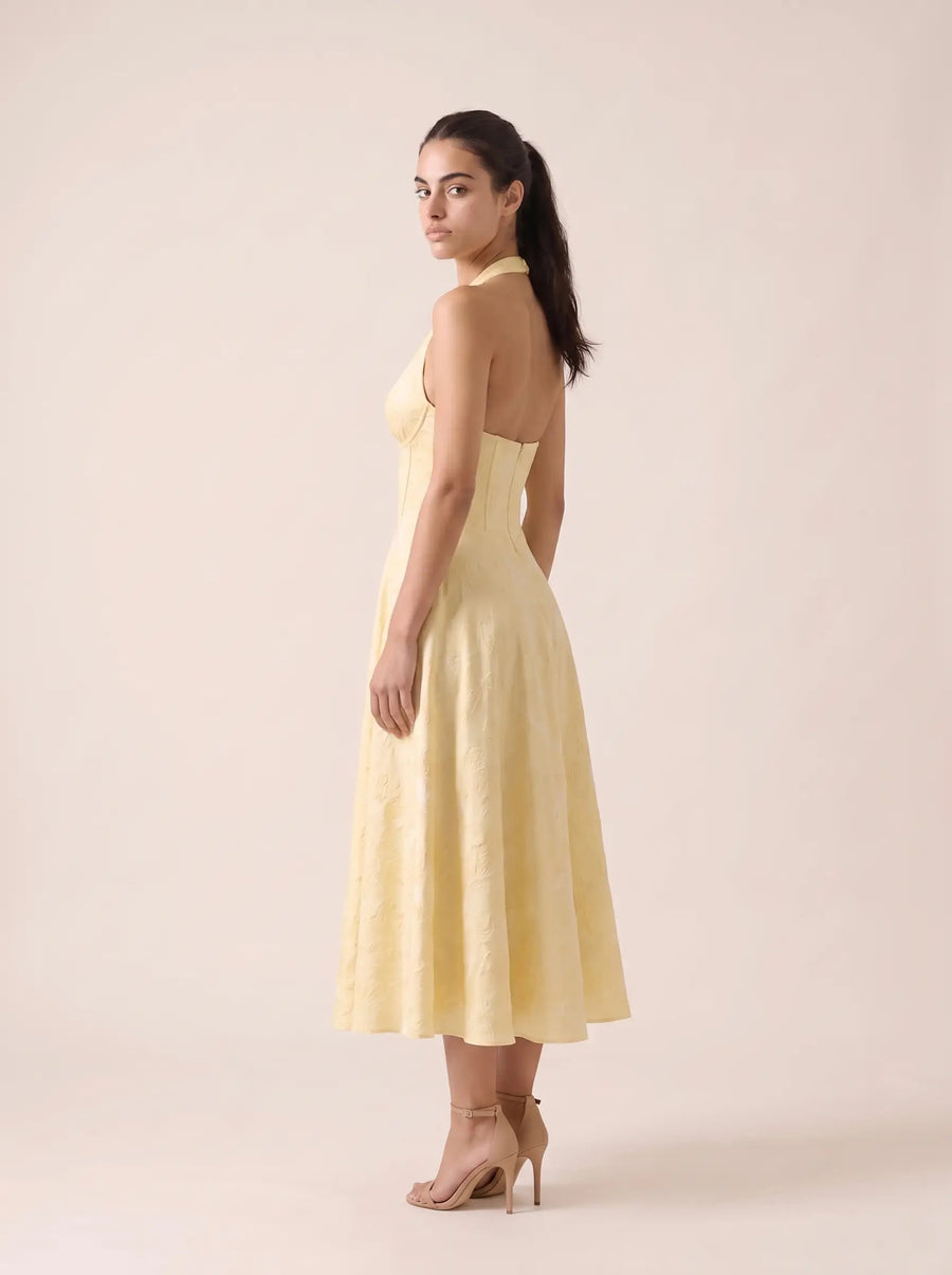 STEPHANIE Lemon 6