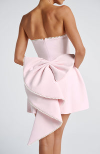Donna Mini Dress – Blush