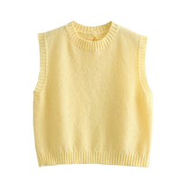 Sybil Knit Top with Sleeveless in Yellow
