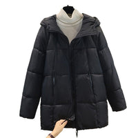Talia Jacket with Zip Front and Pockets in Pink