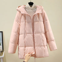 Talia Jacket with Zip Front and Pockets in Pink