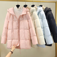 Talia Jacket with Zip Front and Pockets