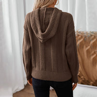 Tilda Casual Knit Sweater with Hood