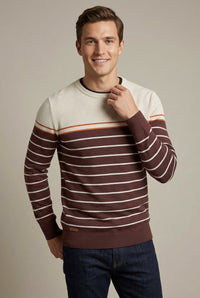 Men's Striped Sweater Crew Neck