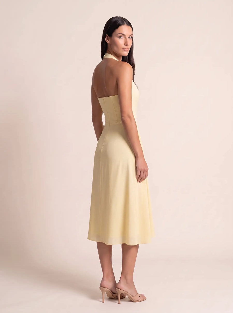 Whitney Lemon editorial