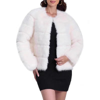 Willa Jacket